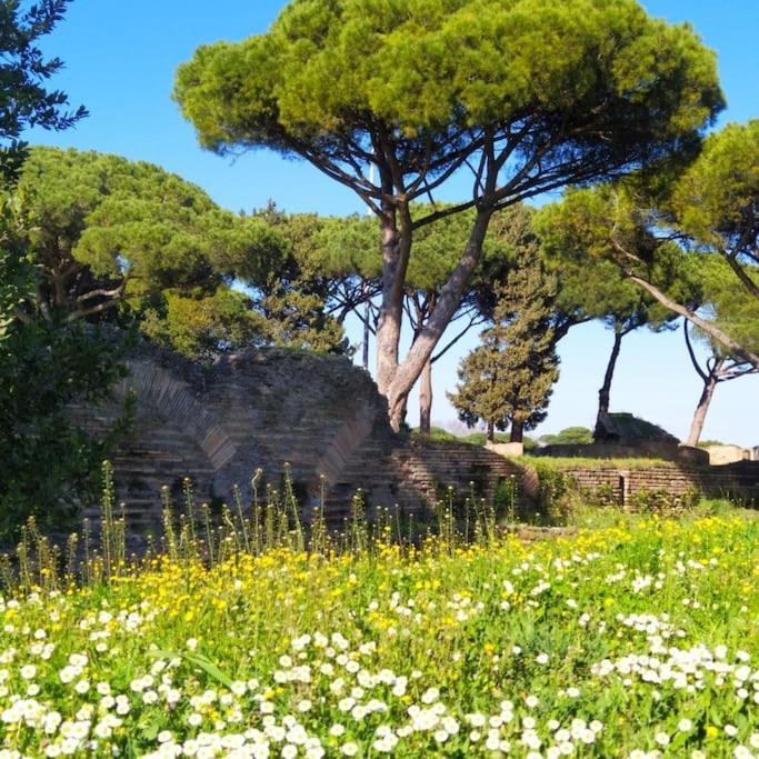Per Antiqua Itinere Διαμέρισμα Όστια Αντίκα Εξωτερικό φωτογραφία